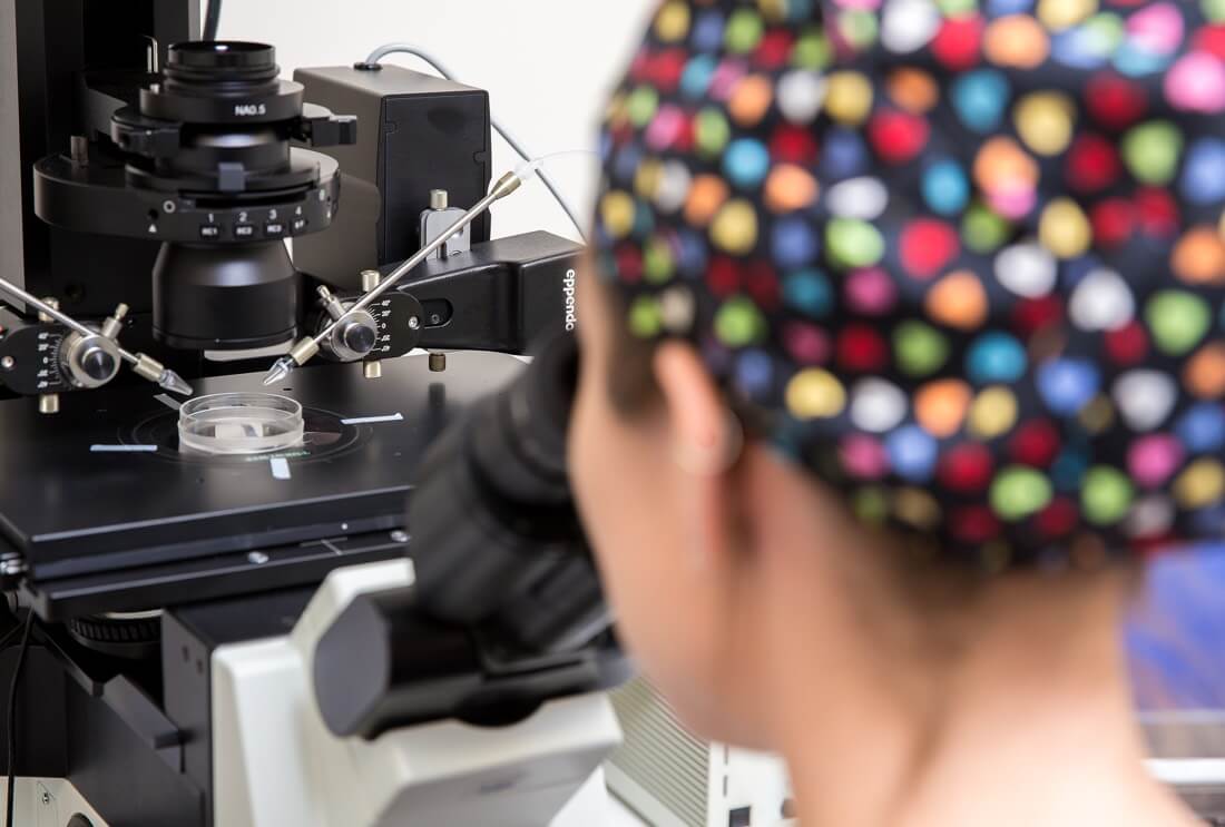 embryo transfer 