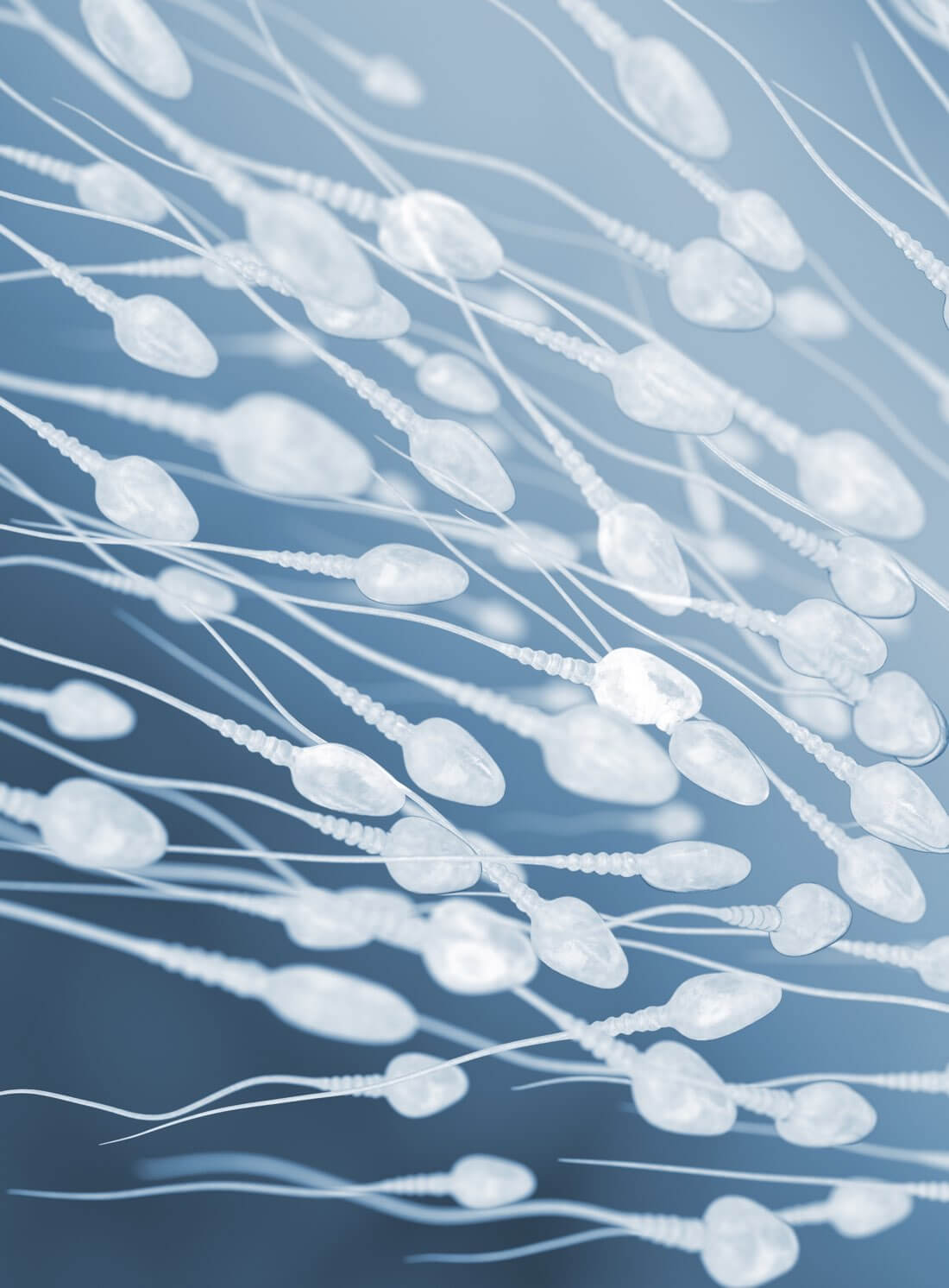 male infertility